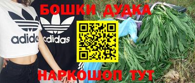 стаф Пенза
