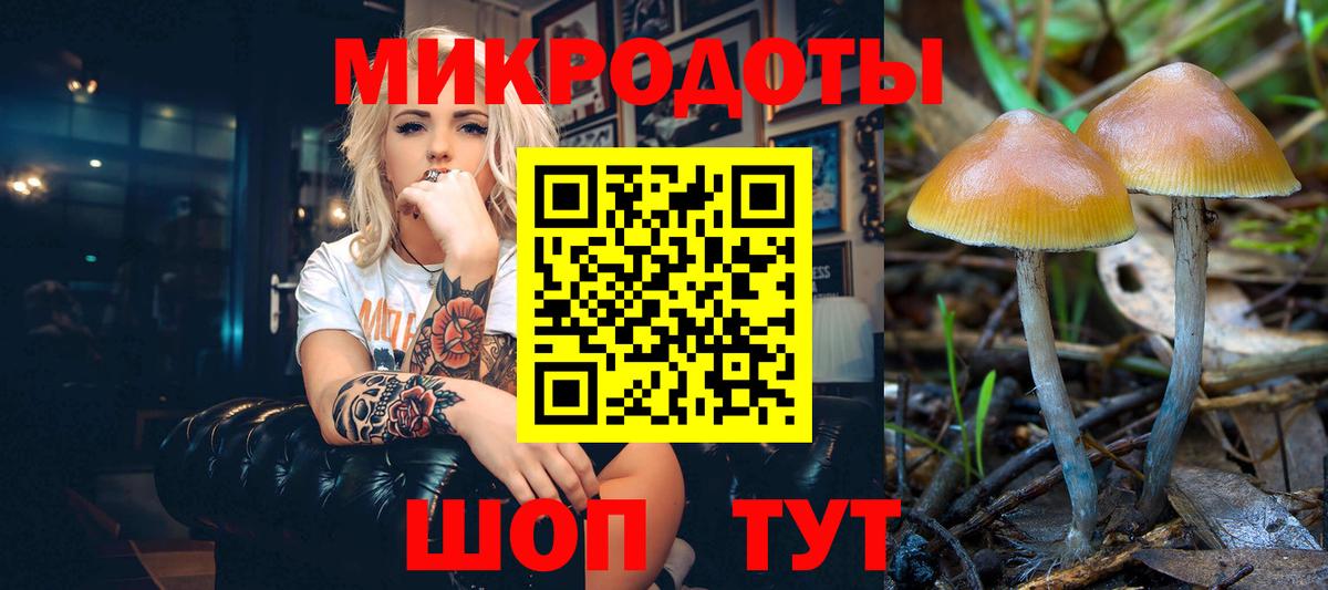 Псилоцибиновые грибы Magic Shrooms  Галлюциногенные грибы ЛСД  Тихорецк  Вход с VPN 